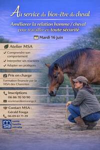 STAGE AU SERVICE DU BIEN ETRE DU CHEVAL